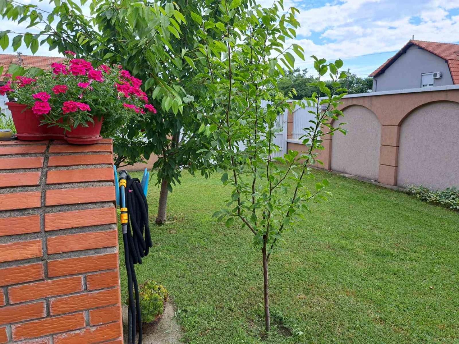 Villa Nena Kladovo Buitenkant foto