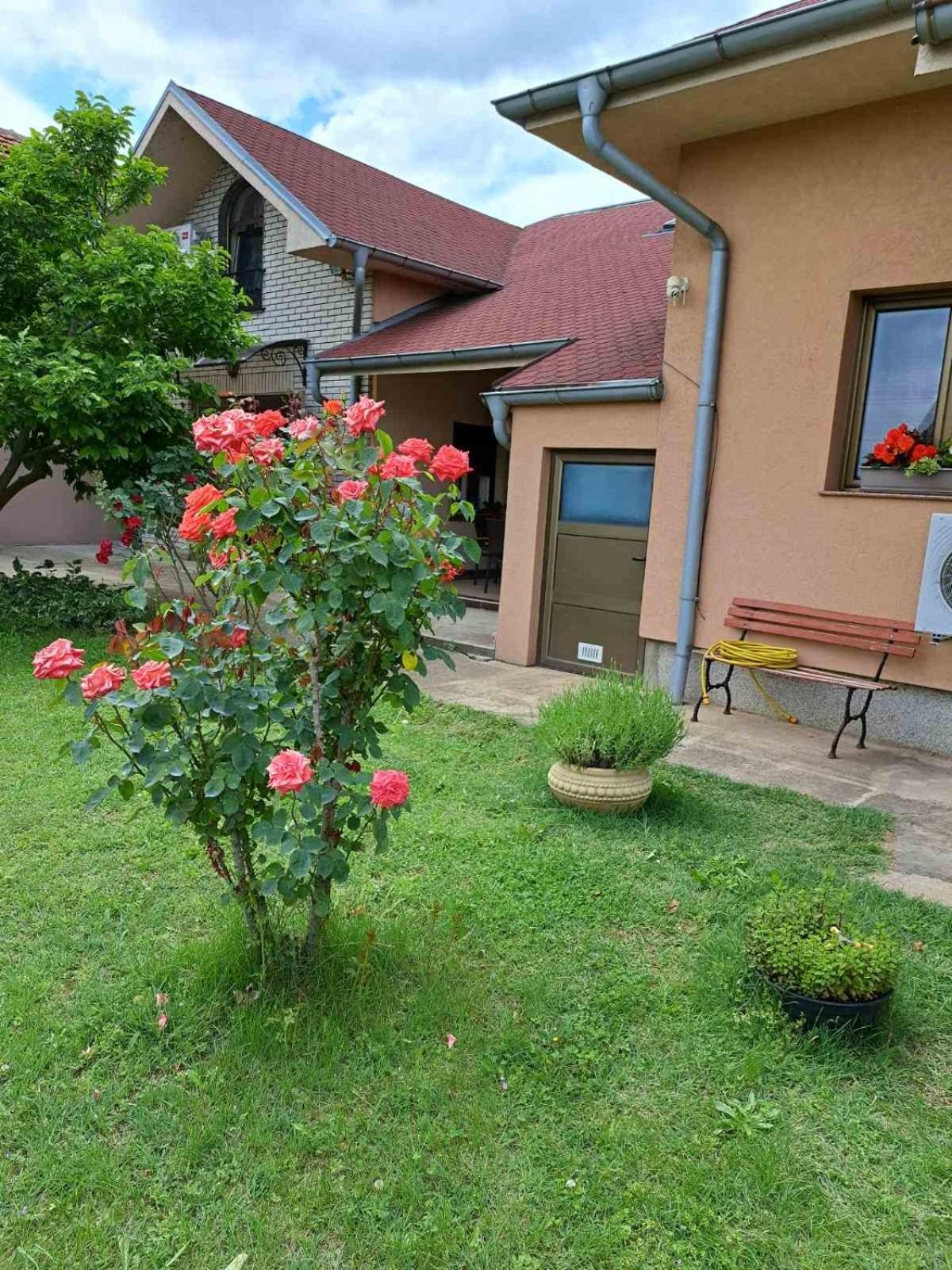 Villa Nena Kladovo Buitenkant foto
